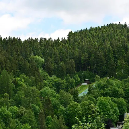 Large In With Balcony * Willingen (Upland)