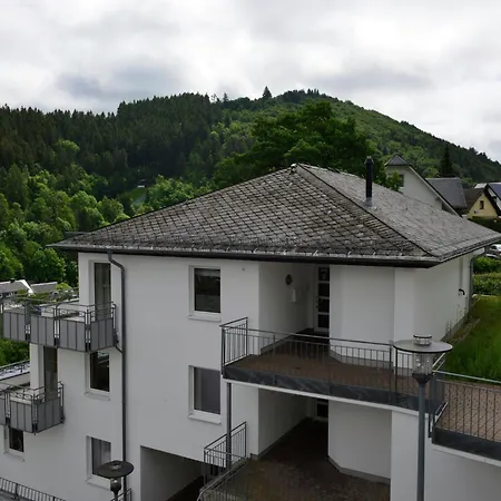 Large In With Balcony Апартаменты Виллинген