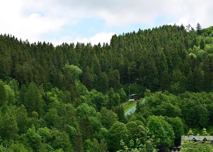 Grosse In Mit Balkon * Виллинген