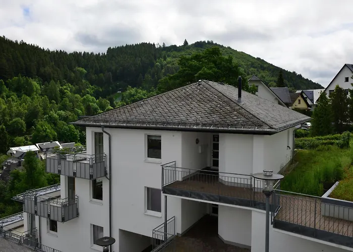 Grosse In Mit Balkon Апартаменты Виллинген